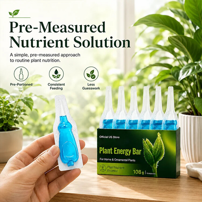 Official US Store  paidown® Plant Energy Bar