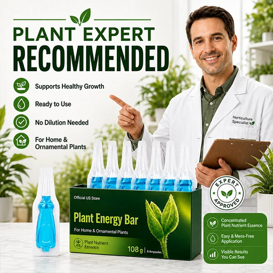 Official US Store  paidown® Plant Energy Bar