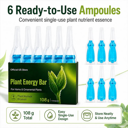Official US Store  paidown® Plant Energy Bar